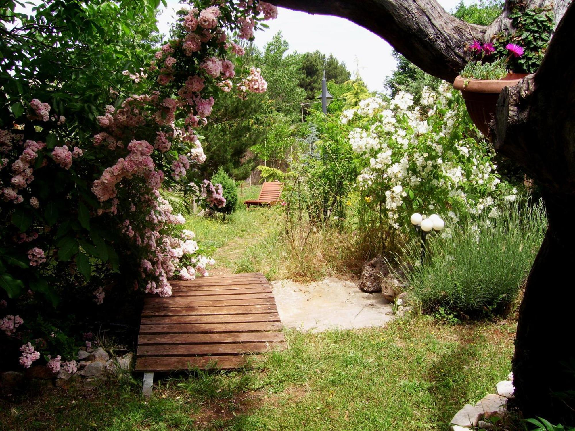 Bed and Breakfast La Cascata Noci Exterior foto